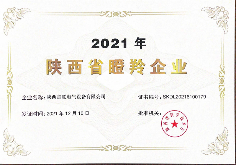 ףR(lin)늚s@2021ȡI(y)suQ̖